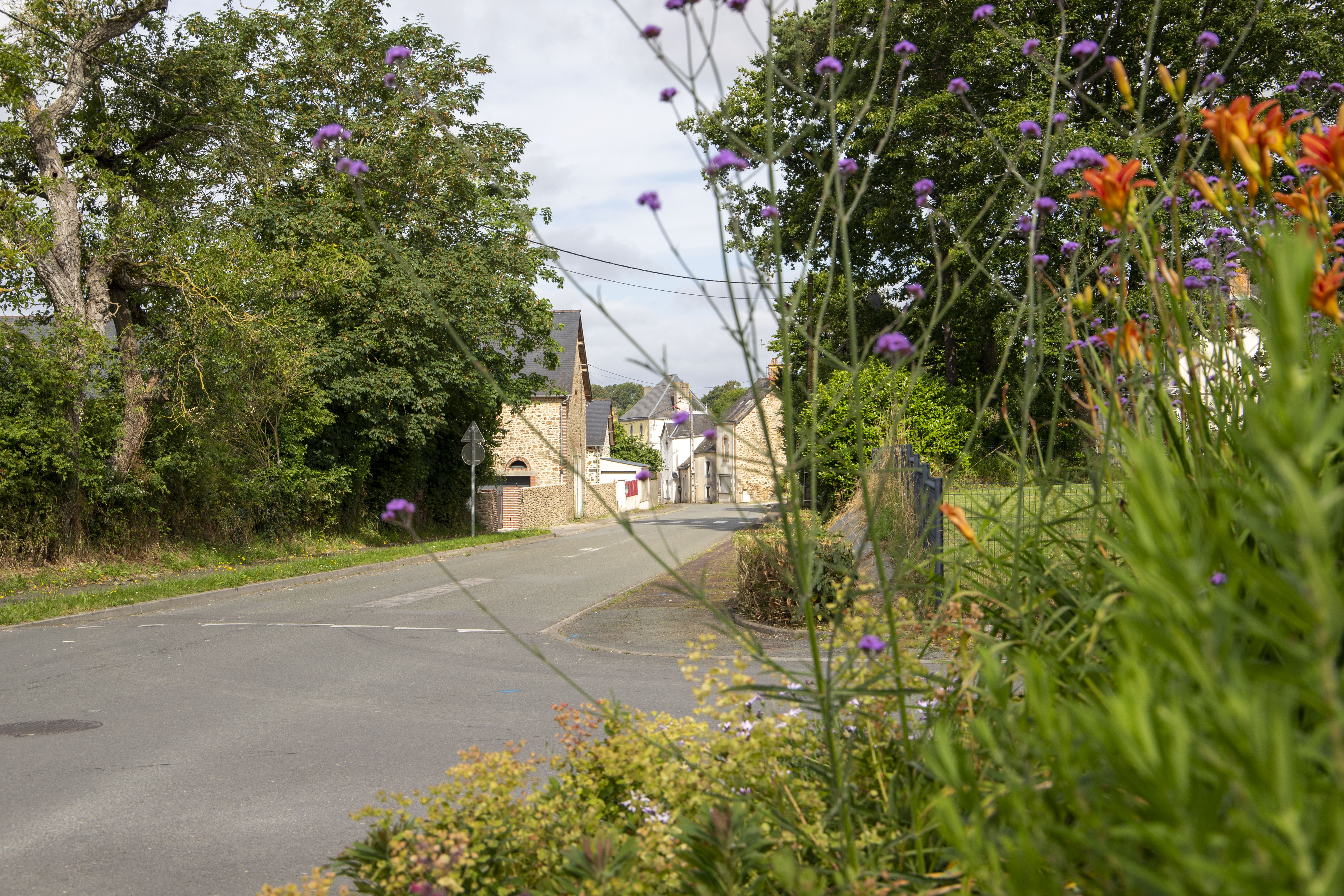 Communauté de communes des Coëvrons (Service Communication)