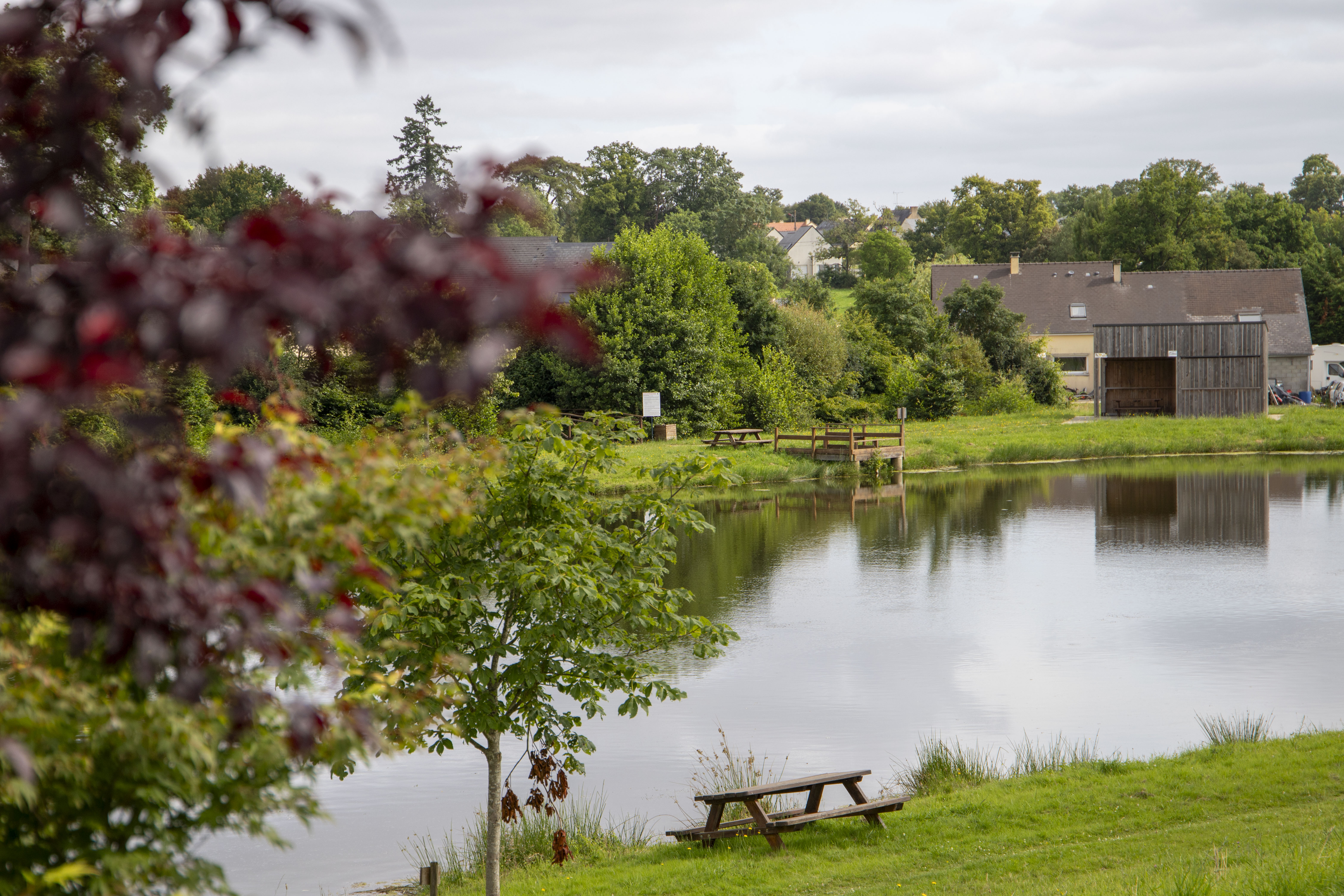 Communauté de communes des Coëvrons (Service Communication)