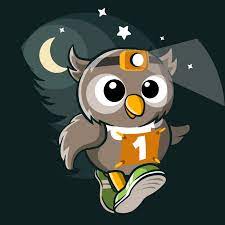 Le Comité des fêtes